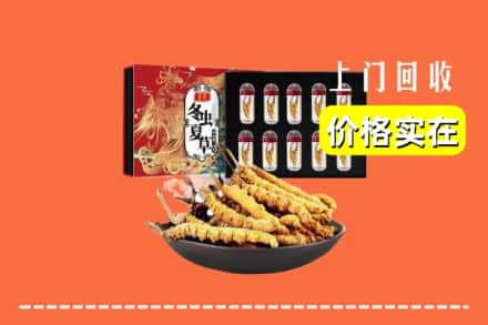 定西市通渭回收冬虫夏草